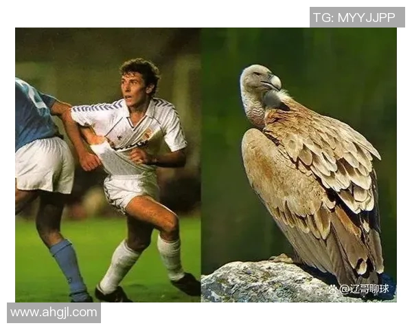 球场上的动物外号：那些因绰号而更加传奇的足球巨星们