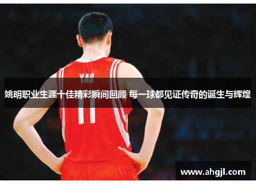 姚明职业生涯十佳精彩瞬间回顾 每一球都见证传奇的诞生与辉煌
