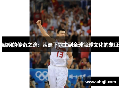 姚明的传奇之路：从篮下霸主到全球篮球文化的象征