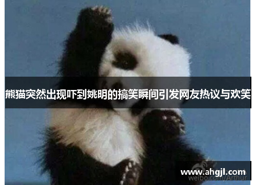 熊猫突然出现吓到姚明的搞笑瞬间引发网友热议与欢笑