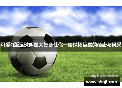 可爱Q版足球明星大集合让你一睹球场巨星的萌态与风采