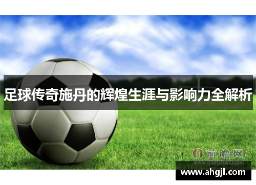 足球传奇施丹的辉煌生涯与影响力全解析