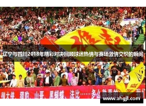 辽宁与四川2018年精彩对决回顾球迷热情与赛场激情交织的瞬间